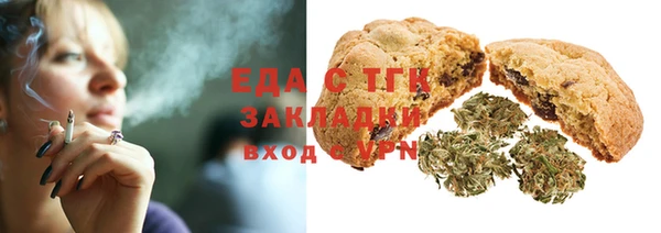 индика Алзамай