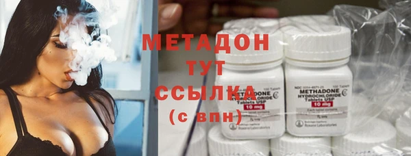 индика Алзамай