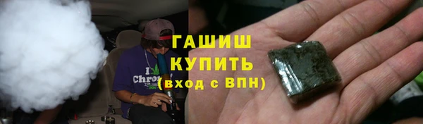 индика Алзамай