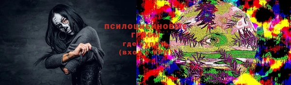 соль ск Ступино