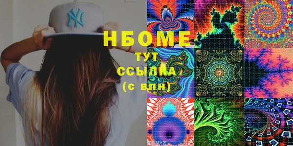индика Алзамай