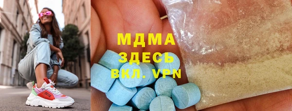 индика Алзамай