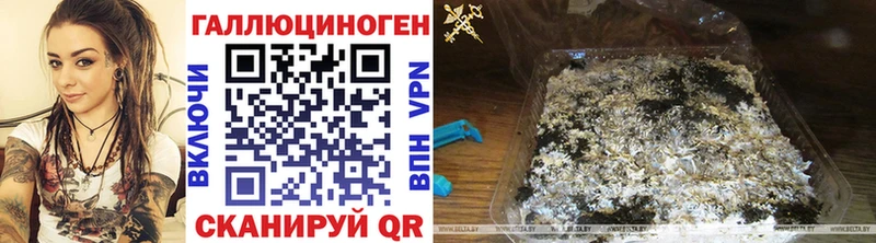 darknet какой сайт  Белорецк  Псилоцибиновые грибы мухоморы 